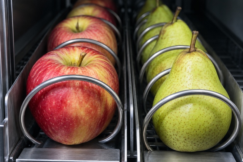Frutta vending