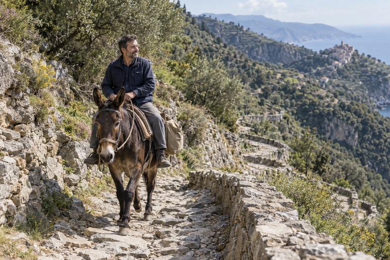 Gestore vending a cavallo di un mulo mentre percorre una tortuosa mulattiera di montagna.